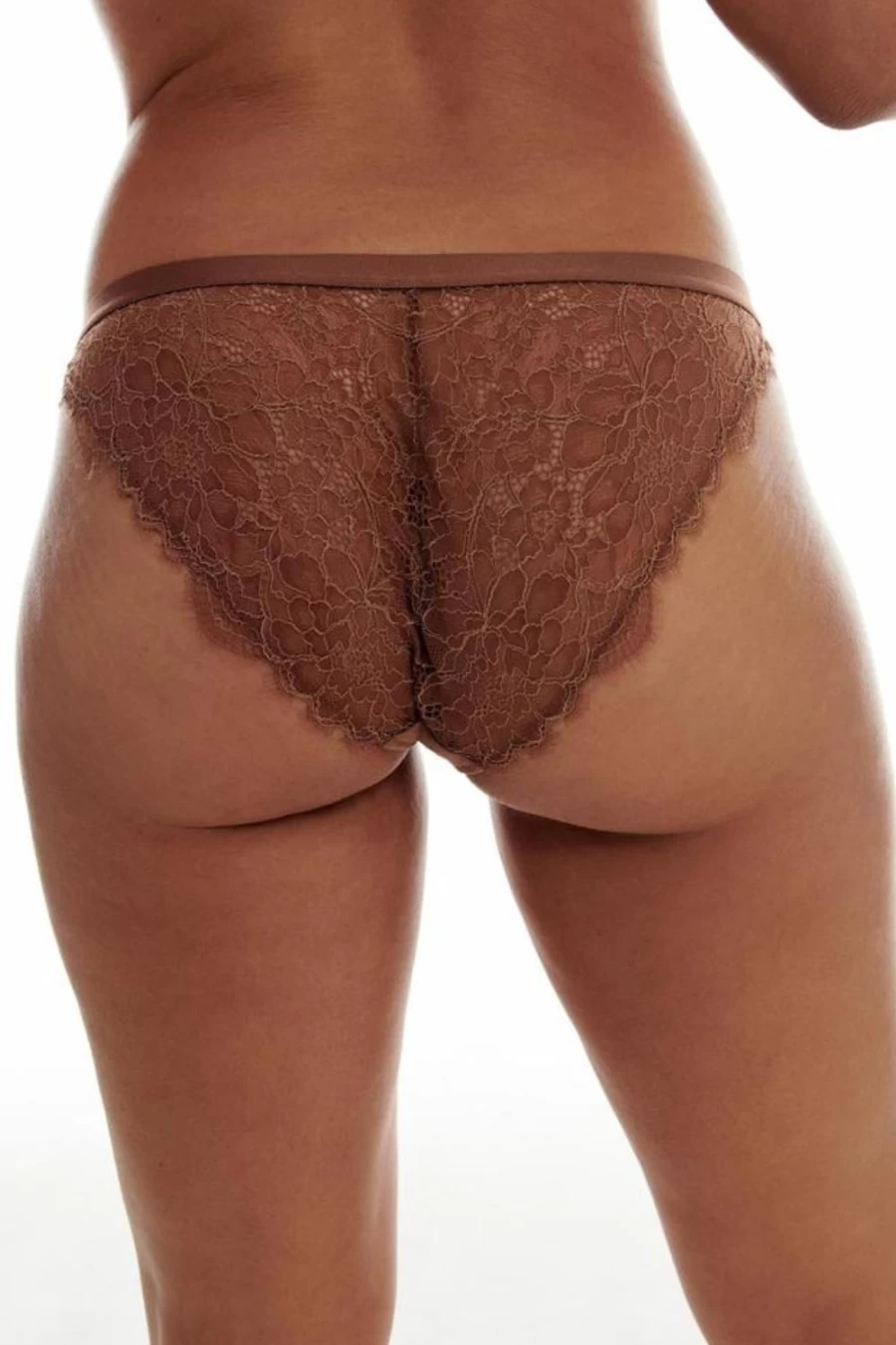 "Love Stories Medium Brown Wild Rose Brief Women's Lace Underwear"